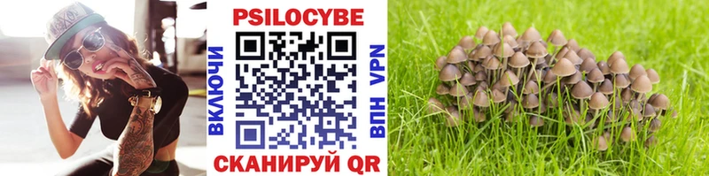 как найти наркотики  Южно-Сахалинск  Псилоцибиновые грибы ЛСД 