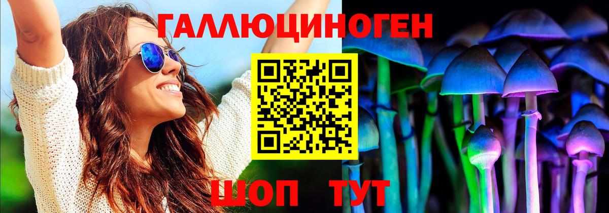 Галлюциногенные грибы GOLDEN TEACHER Южно-Сахалинск